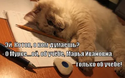 psih_rekl